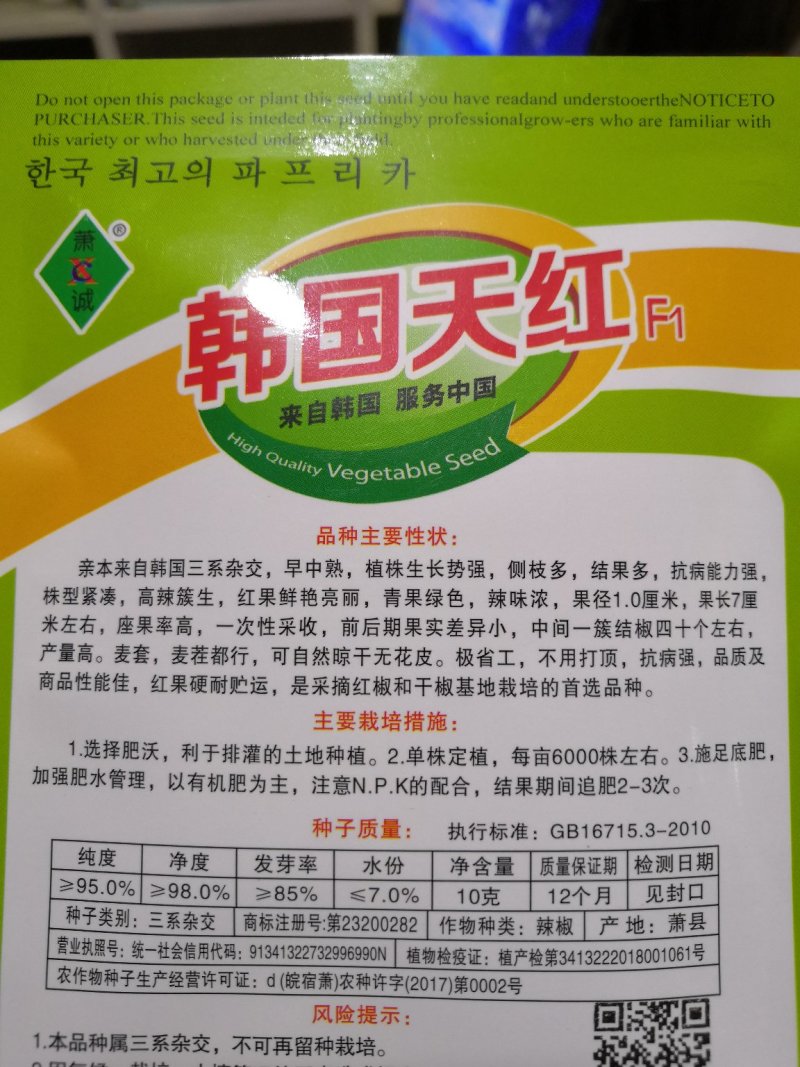 辣椒种子特辣韩国引进朝天椒种子优质高产早中熟朝天椒种子