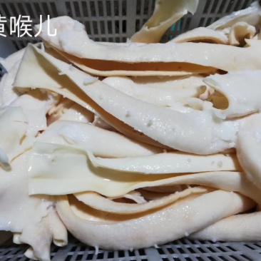 牛黄喉