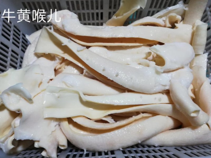 牛黄喉