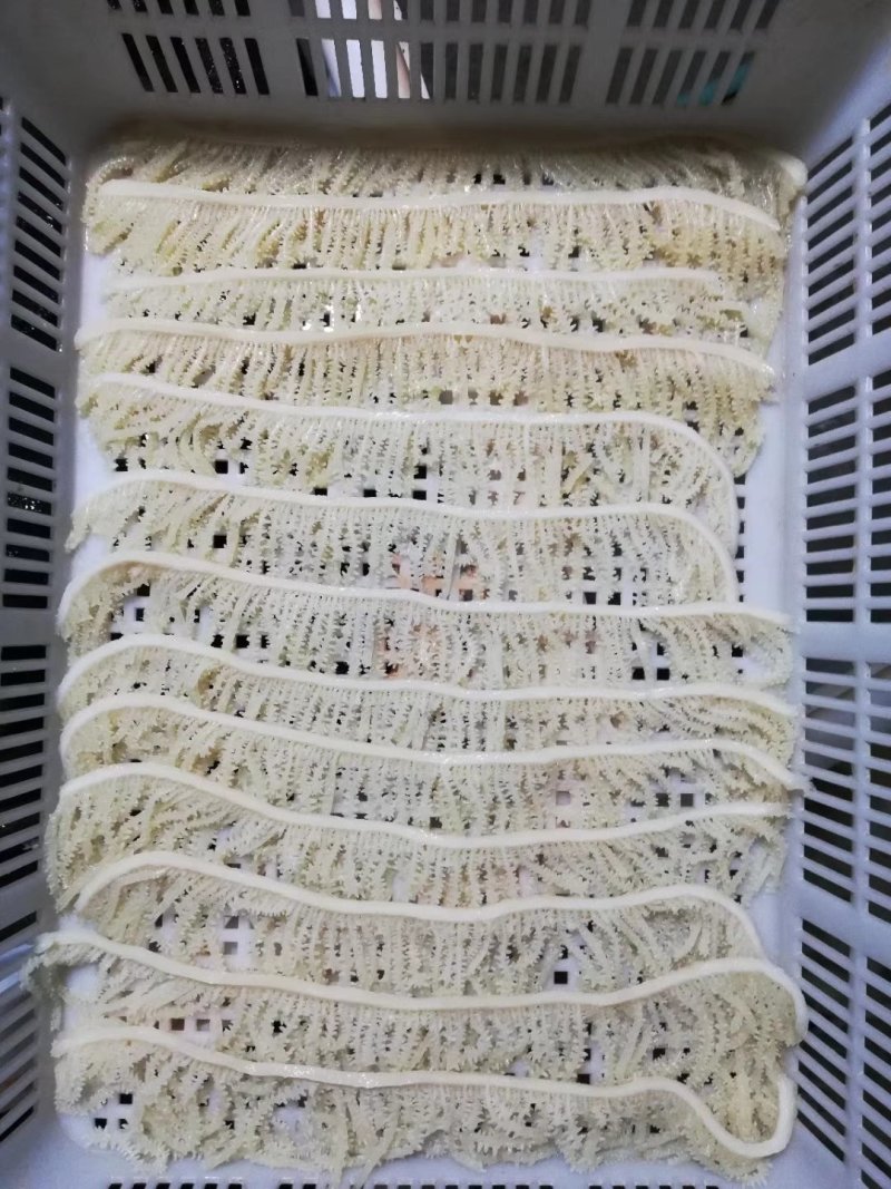 煮千层肚