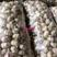 金乡紫皮大蒜全年有货产地直销加工发货支持各种包装