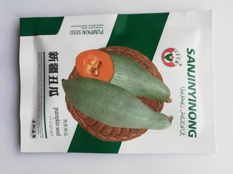 口感香甜甘面的贵族南瓜种子品种～蜜瓜种子