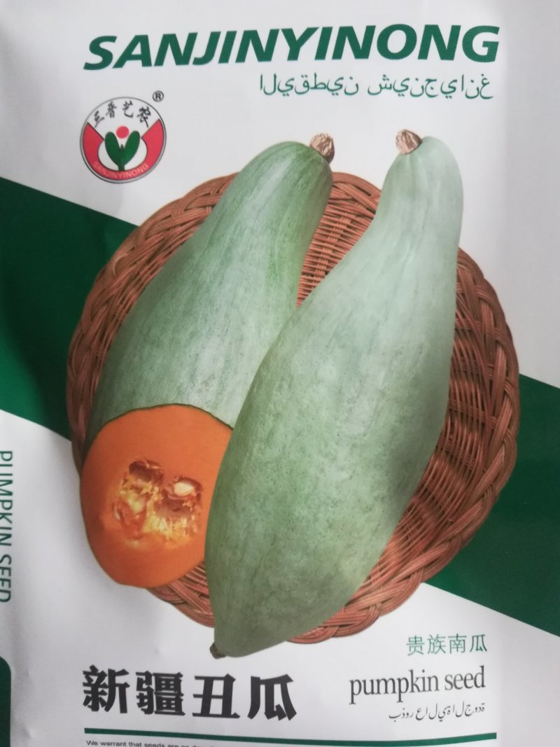口感香甜甘面的贵族南瓜种子品种～蜜瓜种子