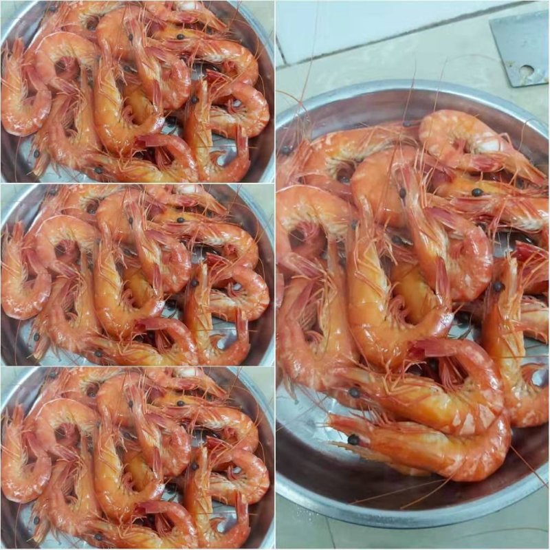 天然黑虎虾