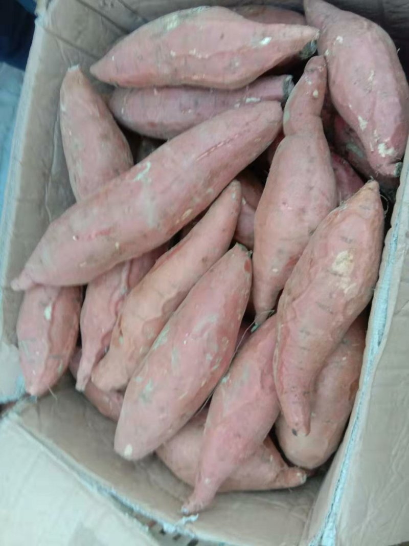 河北新鲜烟薯25糖心流油红薯烤地瓜现挖红心番薯