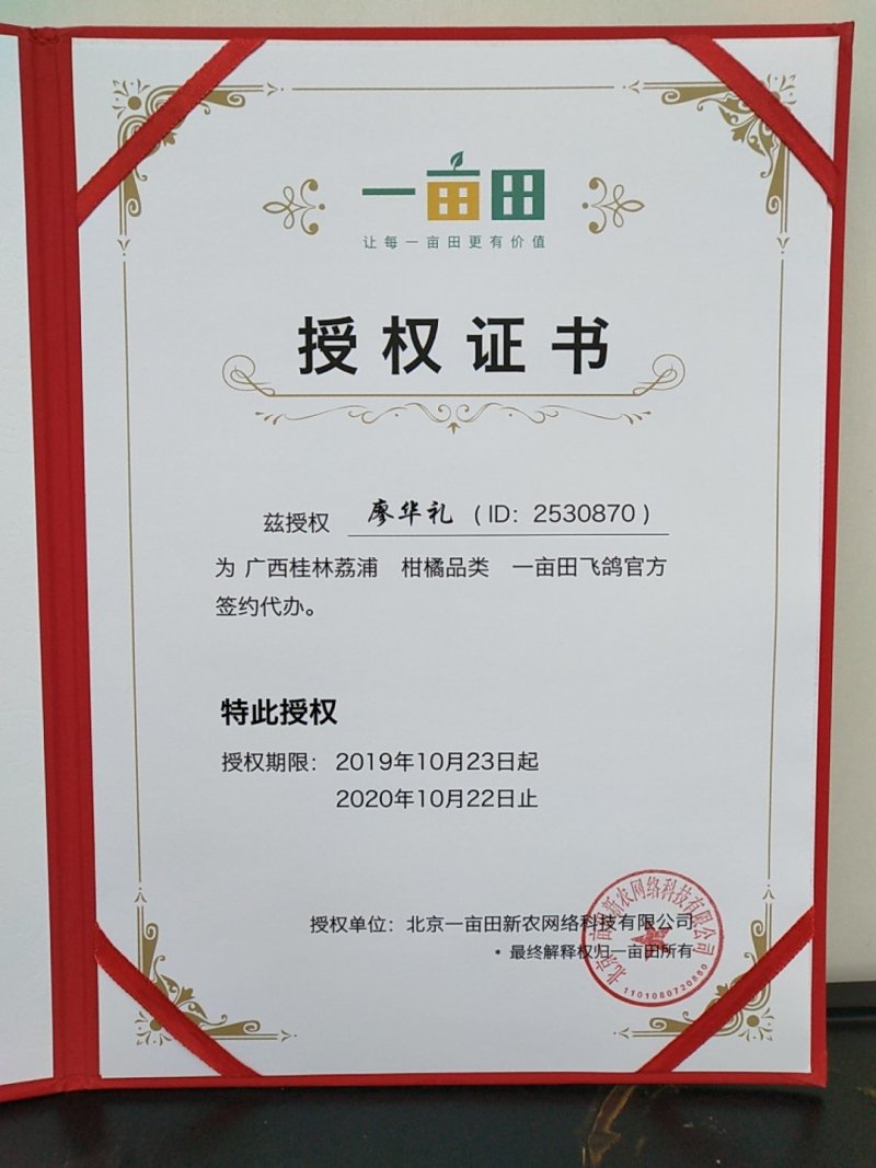 包邮广西砂糖桔桂林砂糖桔荔浦砂糖桔5斤一级大果39.9元
