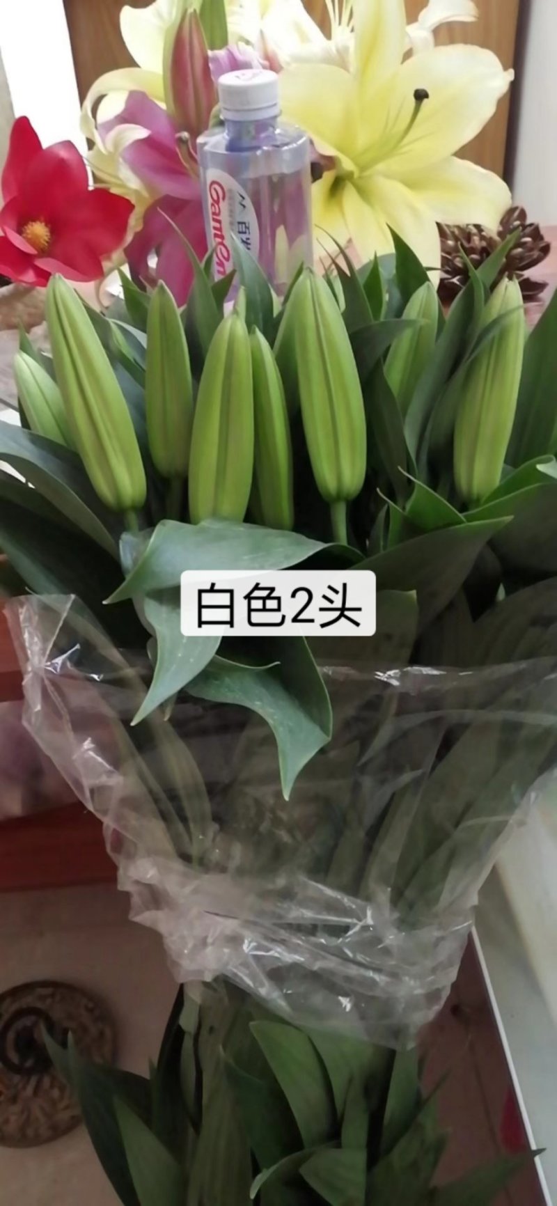 香水百合，罗宾，黄天霸，西伯利亚，西诺红，黑美人，鲜切花