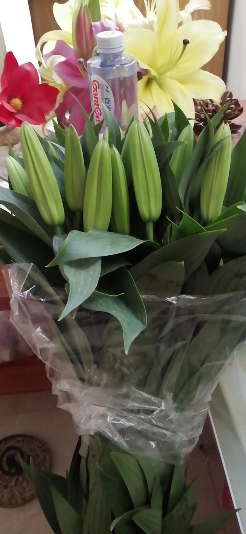 香水百合，罗宾，黄天霸，西伯利亚，西诺红，黑美人，鲜切花