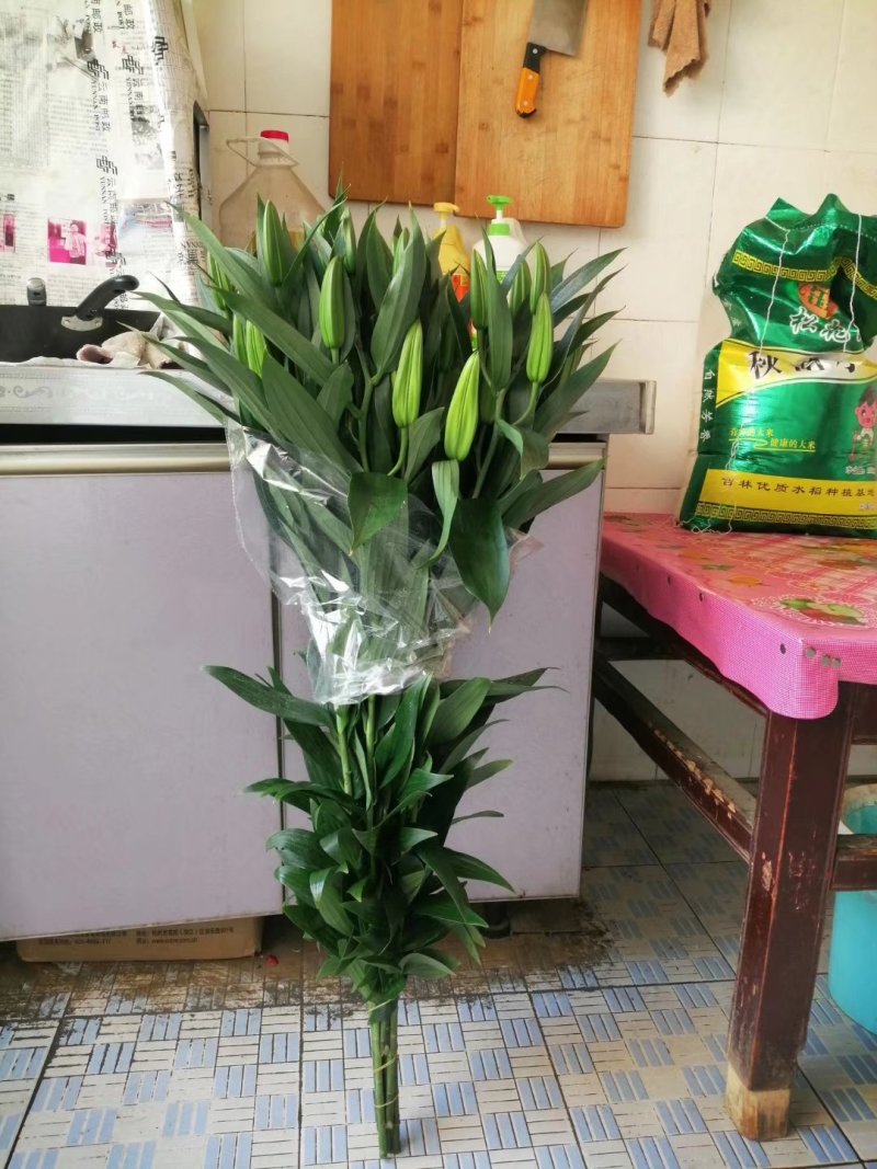 香水百合，罗宾，黄天霸，西伯利亚，西诺红，黑美人，鲜切花