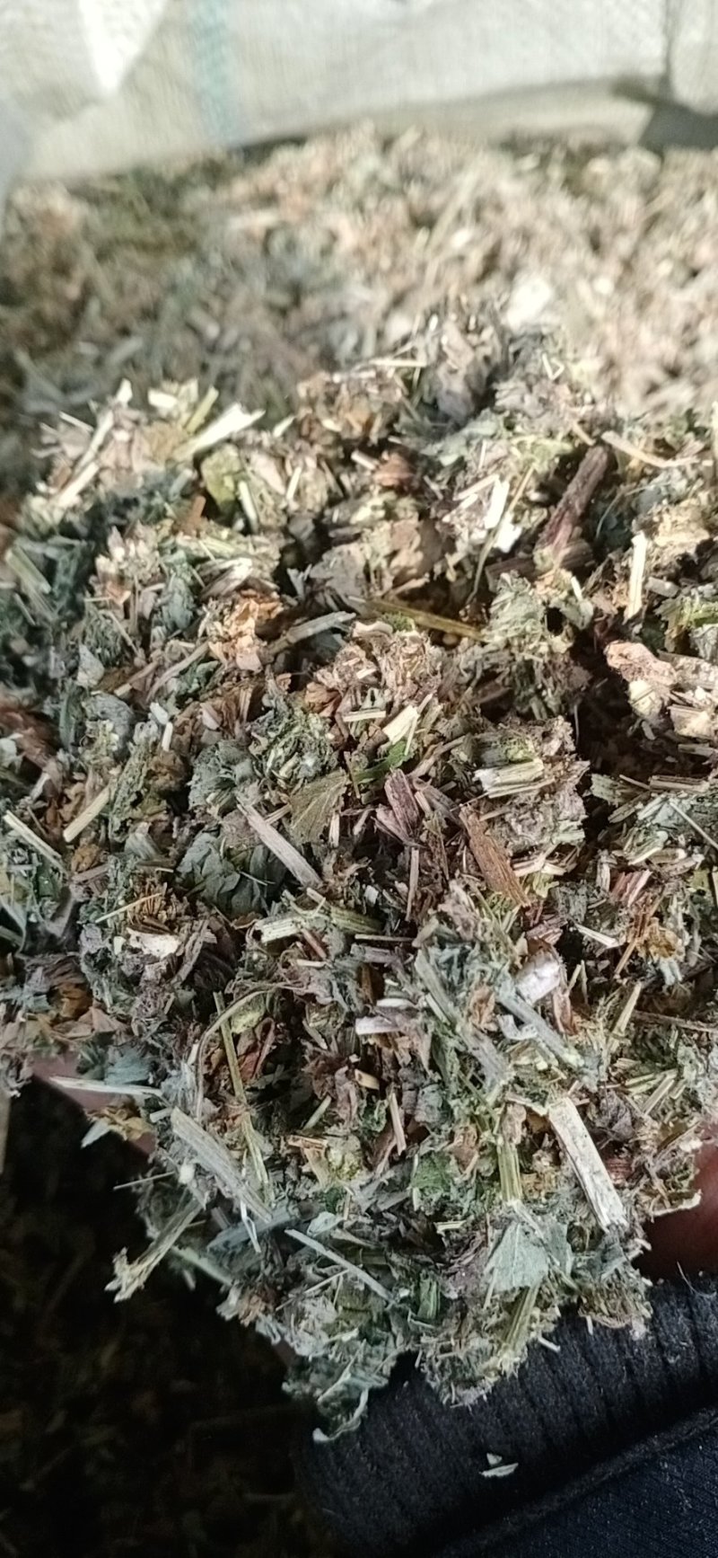 切段艾叶