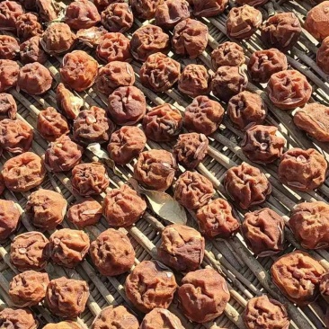 柿子饼（磨盘柿子做的）大量现货，纯手工制作，自然晾晒。