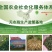 何首乌种苗，剪技苗，直栽苗