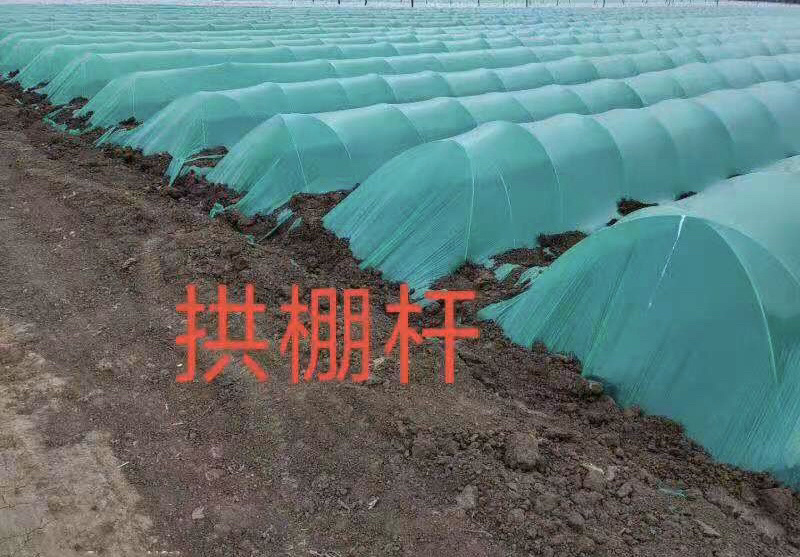 拱棚杆，玻璃纤维杆，支撑杆，小拱棚杆，大棚骨架，百香果杆