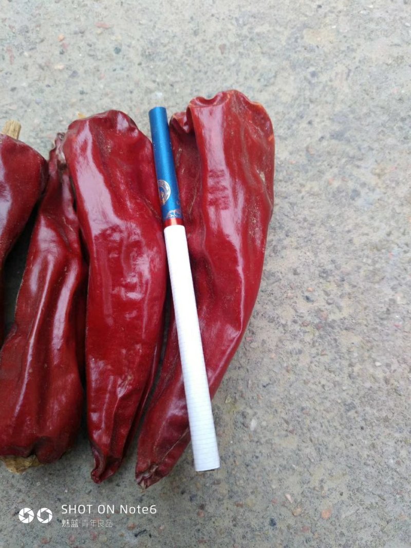 忻州干椒北京红大量上市，货源充足，质量好，