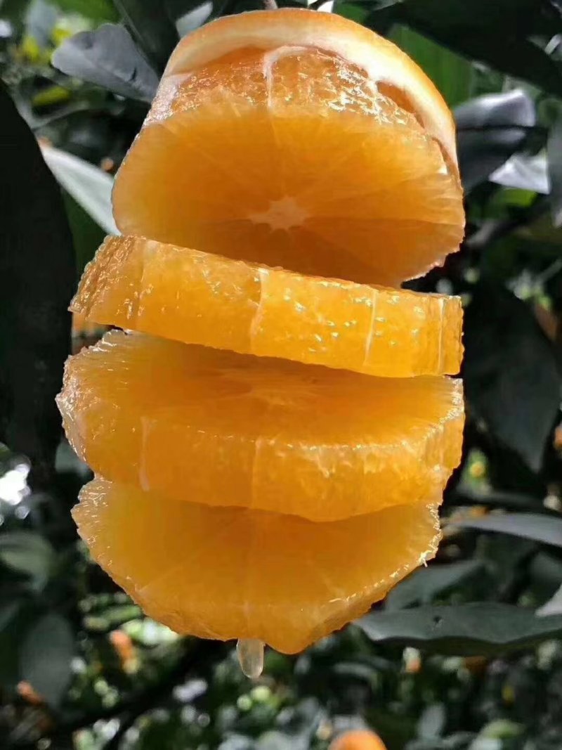 赣南脐橙一件代发，一手货源，量大从优