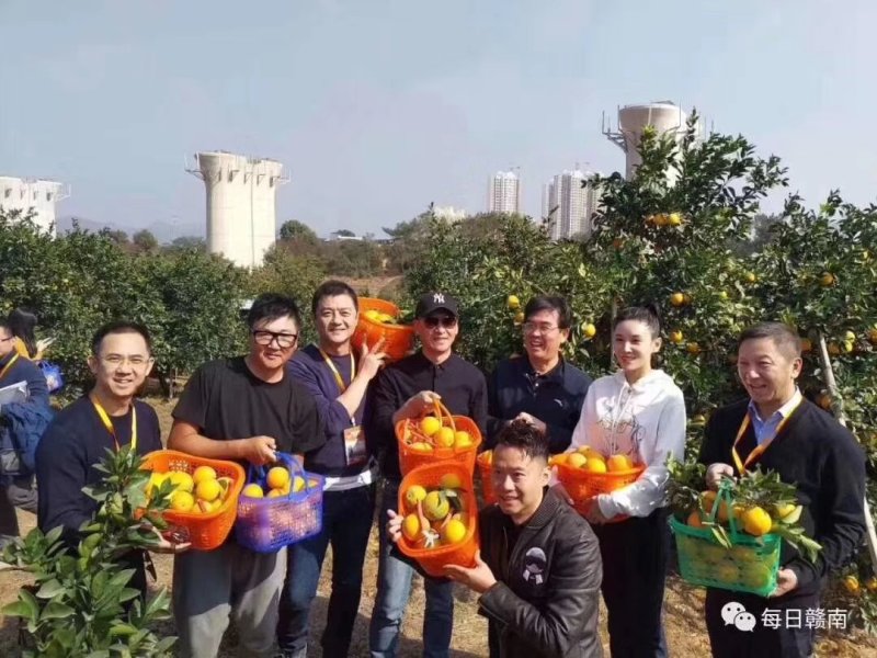 赣南脐橙一件代发，一手货源，量大从优