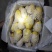 精品土豆山东大棚荷兰十五土豆大量供应量大质优