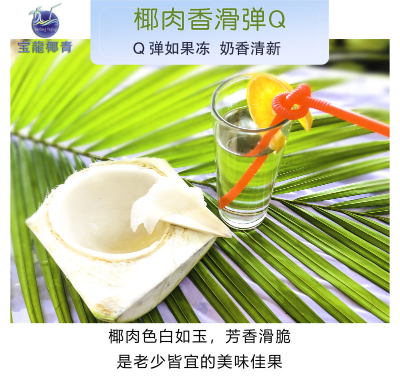 贺岁版海南椰青椰子每一个都是精心挑选出来的靓果一件代发