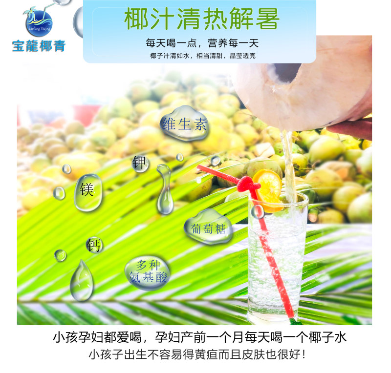 贺岁版海南椰青椰子每一个都是精心挑选出来的靓果一件代发