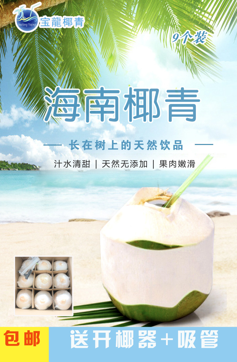 贺岁版海南椰青椰子每一个都是精心挑选出来的靓果一件代发