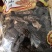 去柄羊肚菌干货野生菌羊肚蘑菇干品100克一袋包邮