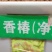 红油香椿种子