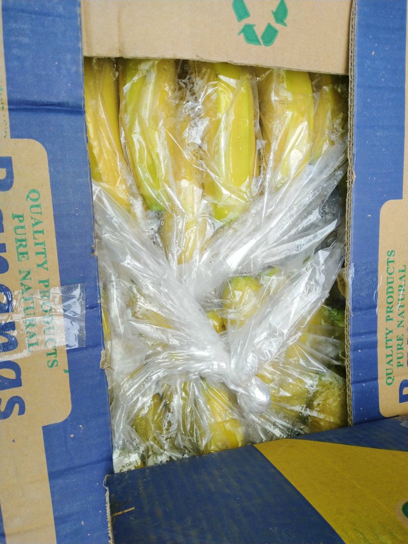 香蕉
