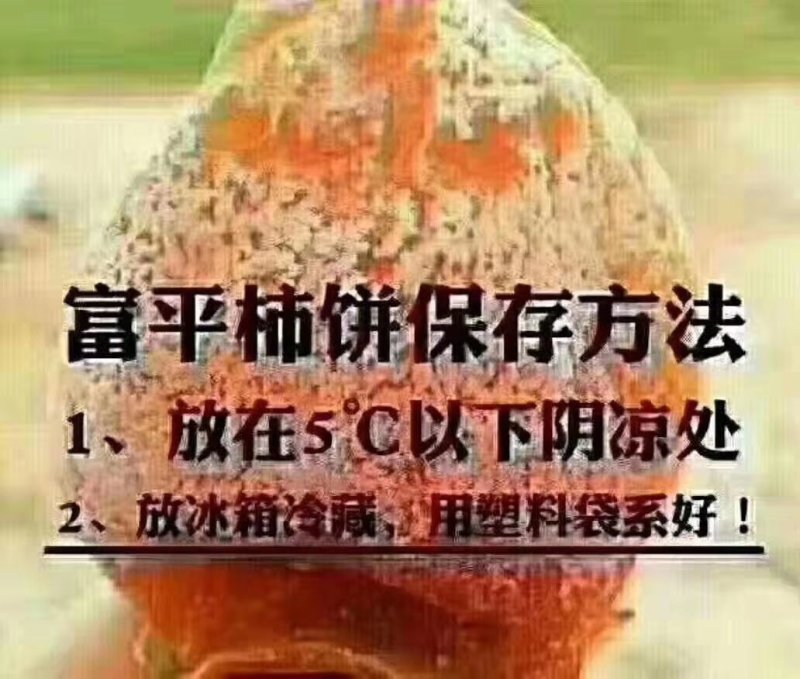 【一件代发】2022年新品霜降富平柿子饼吊柿饼热销中