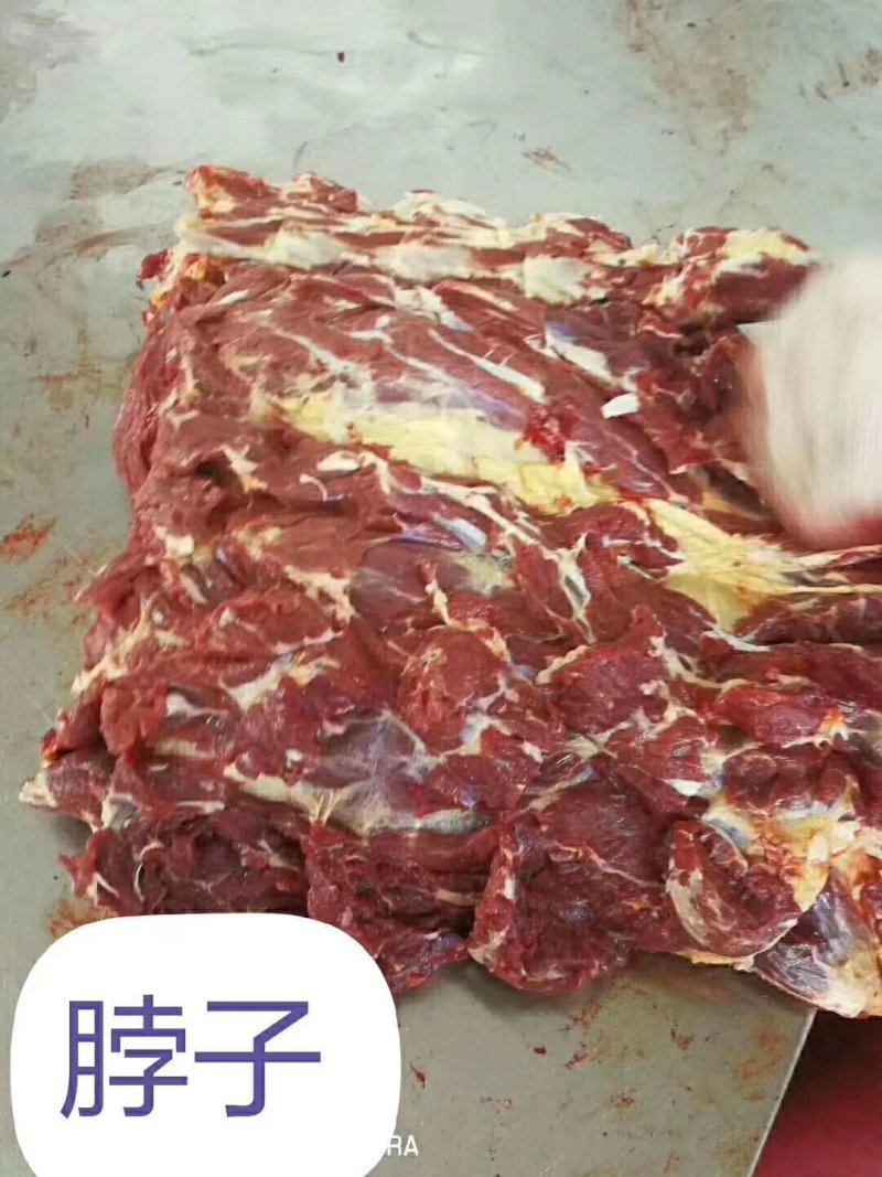鲜马肉，精品马肉，有4分体，8分体，质量保证，一手货源