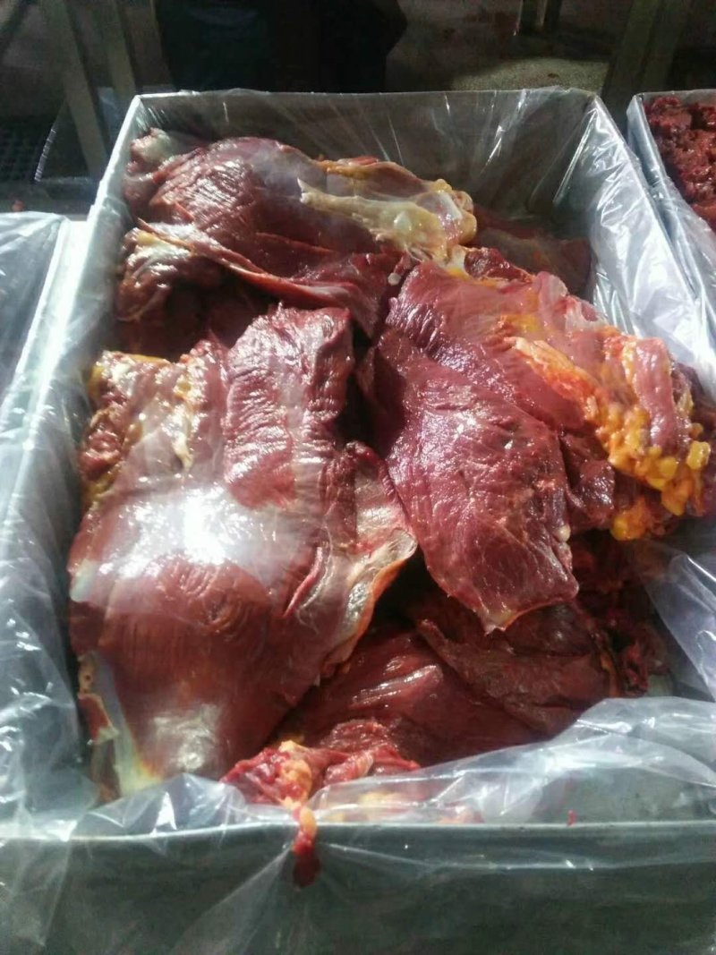 鲜马肉，精品马肉，有4分体，8分体，质量保证，一手货源