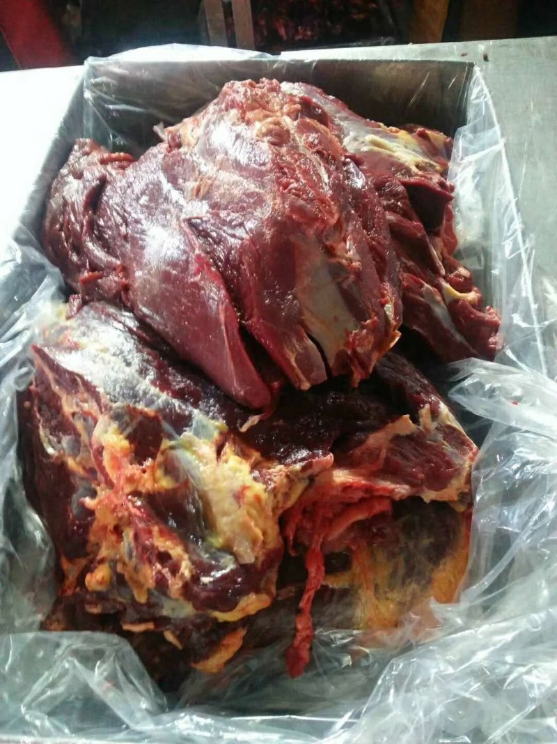 鲜马肉，精品马肉，有4分体，8分体，质量保证，一手货源