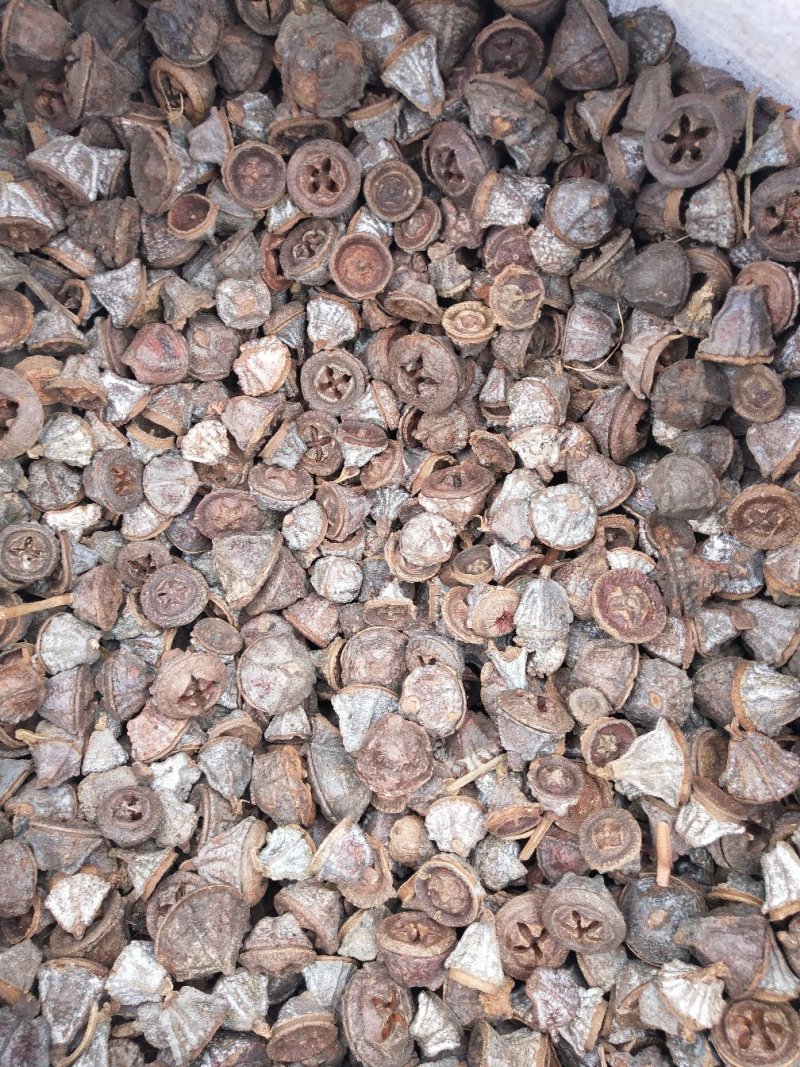 一口钟无硫干净无杂质金铃子中药材批发零售