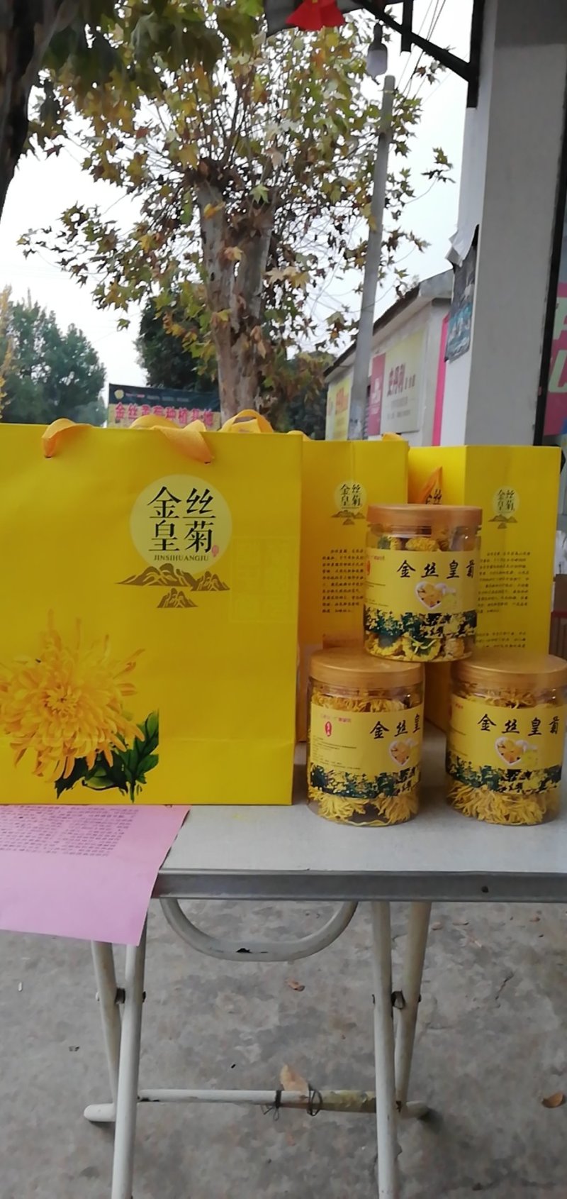 金丝皇菊茶