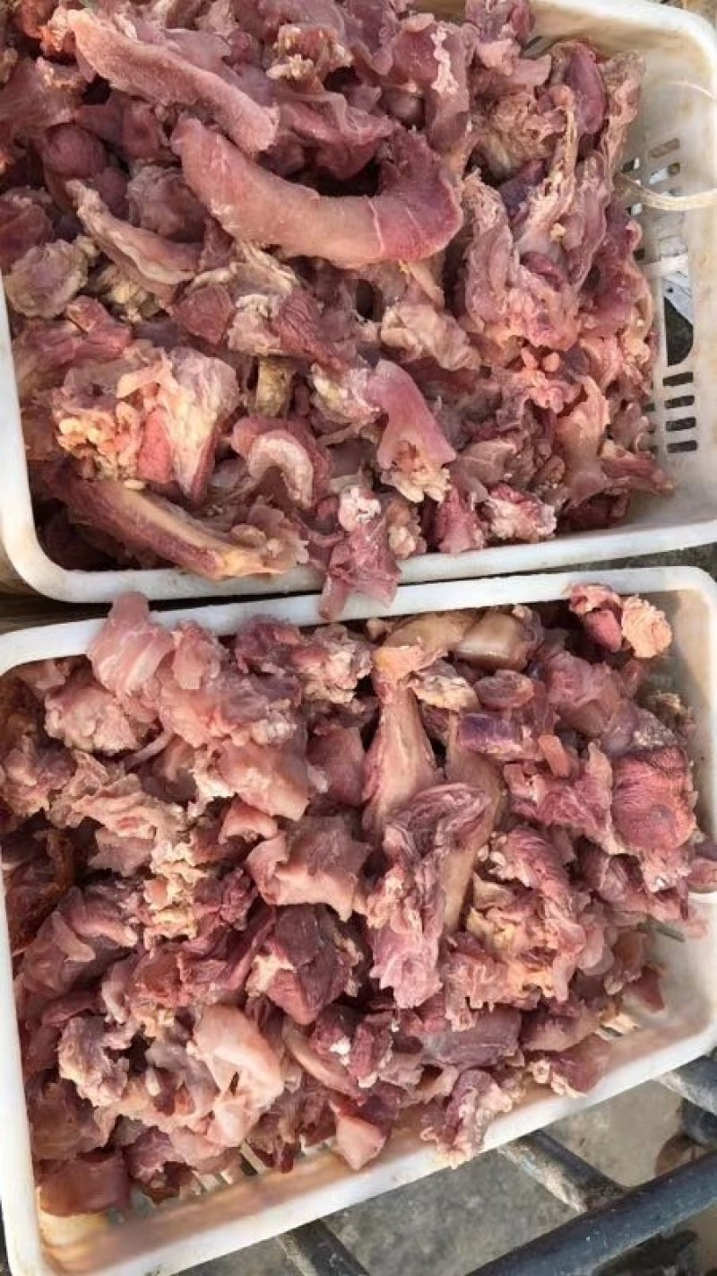 牛筋头巴脑适合红烧炒大锅炖凉拌一手货源发货