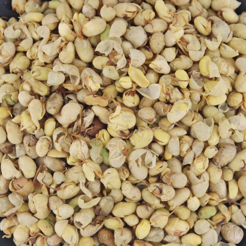 大豆黄卷可打粉无硫正品专营中药批发