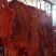 内蒙古锡林郭勒黄牛肉，纯草饲十斤一块，