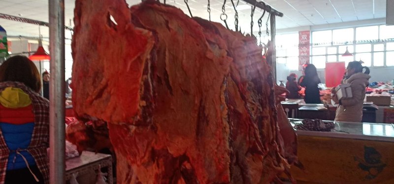 内蒙古锡林郭勒黄牛肉，纯草饲十斤一块，
