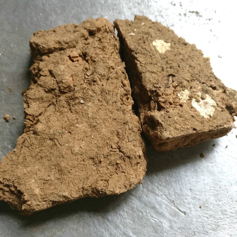 芜荑正品可打粉中药批发中药材芜荑芜夷臭芜荑
