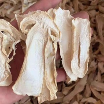 雪山松茸干片赤松茸人工松茸干货野生菌干品