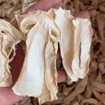 雪山松茸干片赤松茸人工松茸干货野生菌干品