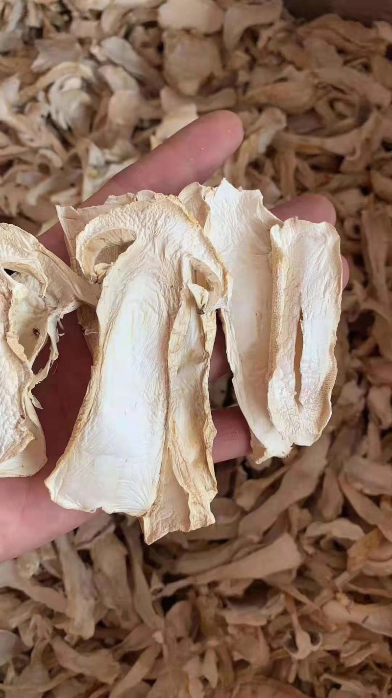 雪山松茸干片赤松茸人工松茸干货野生菌干品