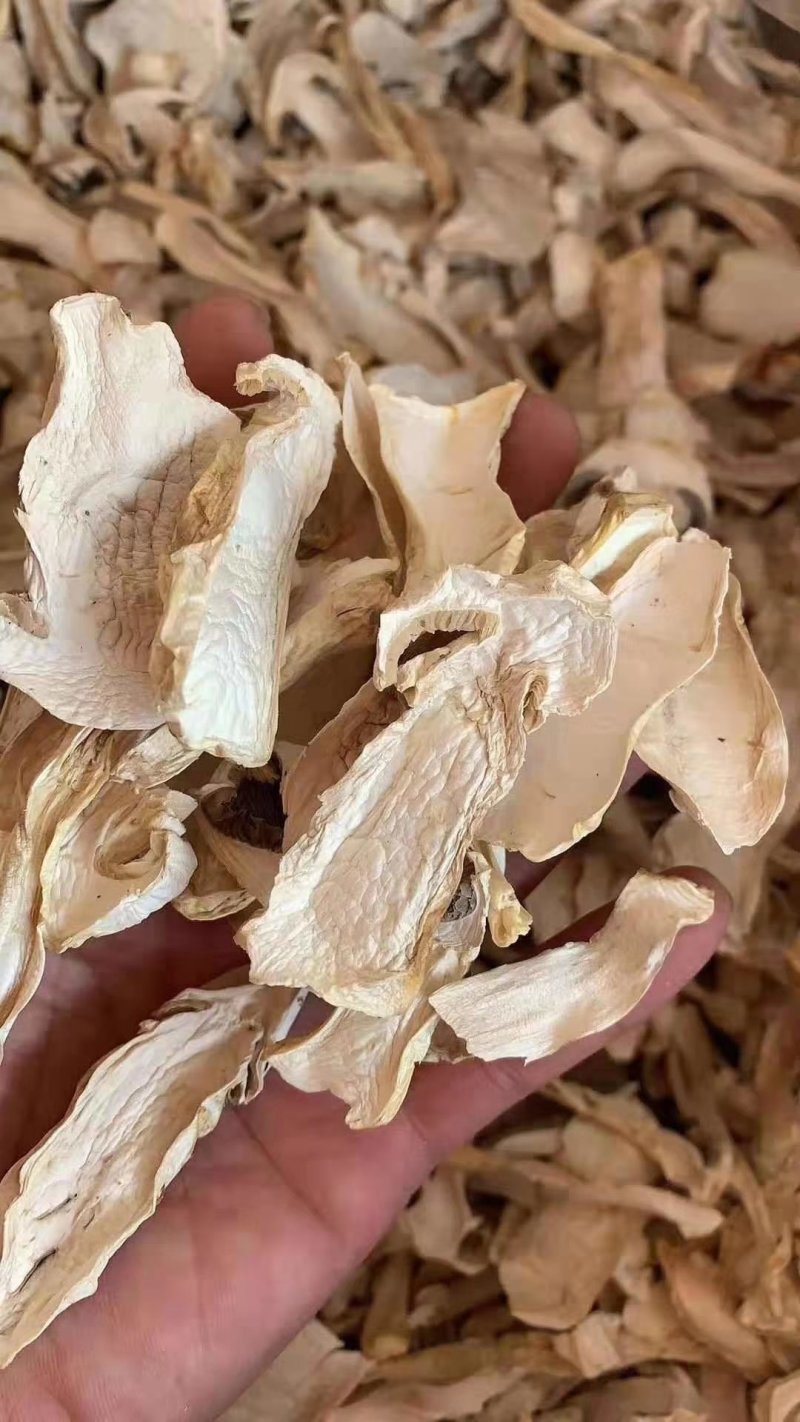 雪山松茸干片赤松茸人工松茸干货野生菌干品