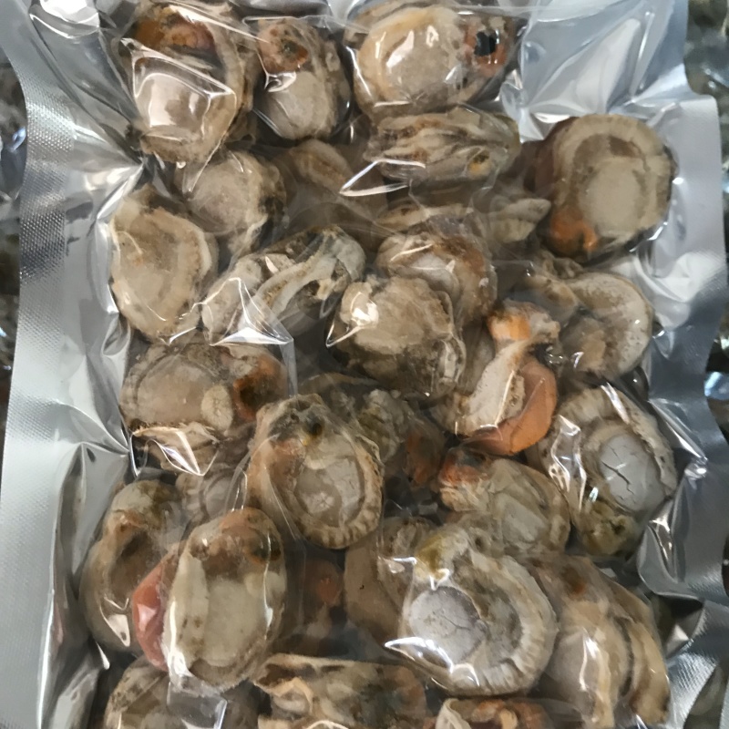 无沙无冰衣超好吃的扇贝肉