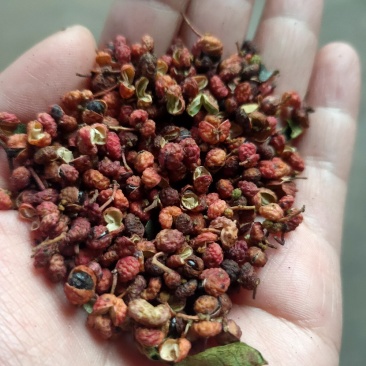 大红袍花椒红麻椒