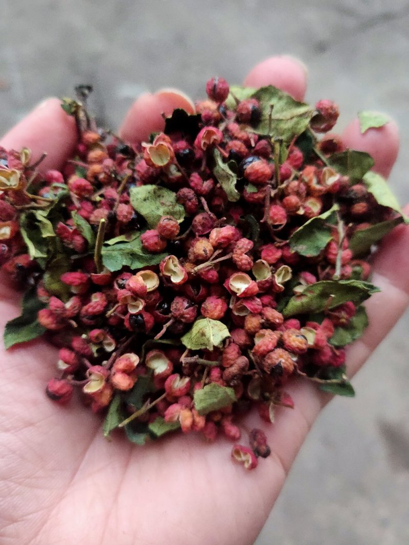 大红袍花椒红麻椒
