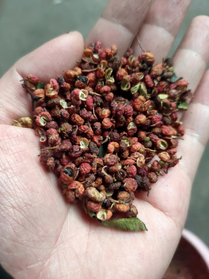 大红袍花椒红麻椒