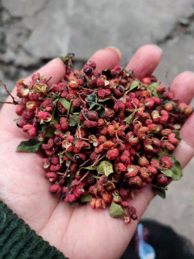 大红袍花椒红麻椒