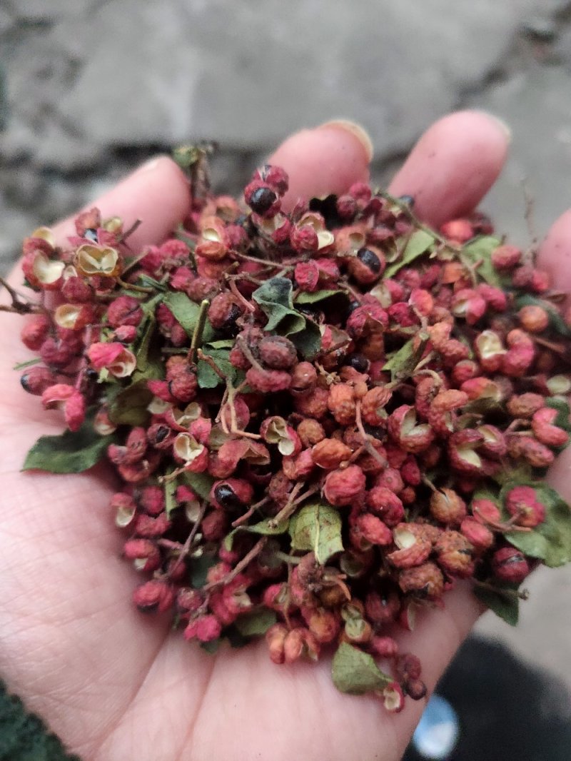 大红袍花椒红麻椒