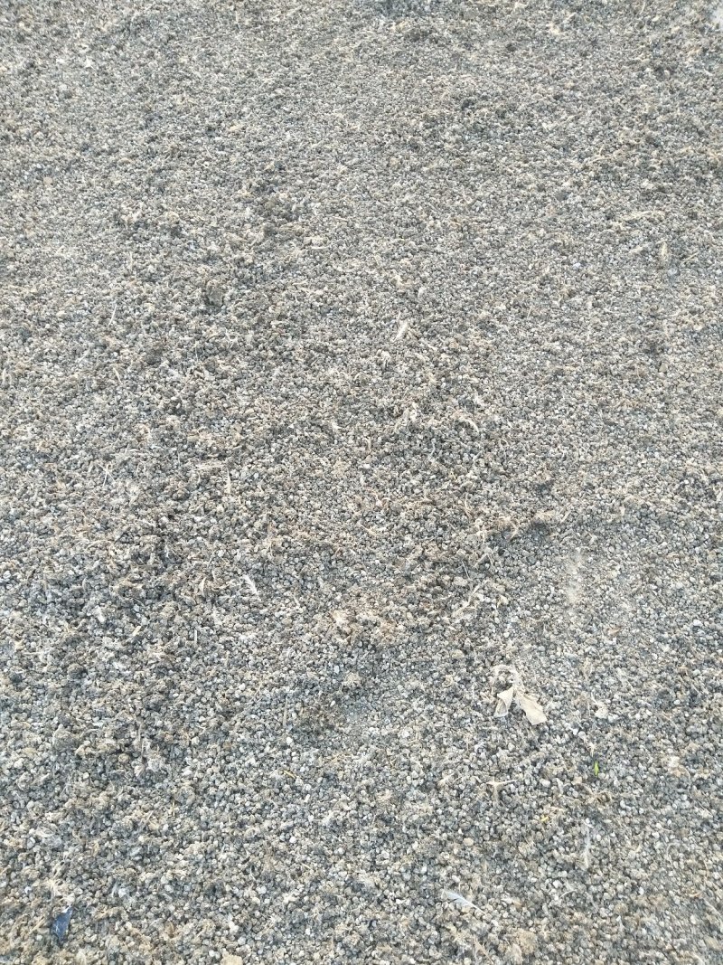 颗粒鹌鹑粪干粪颗粒粪颗粒鹌鹑粪颗粒鹌鹑粪干鹌鹑粪有机肥