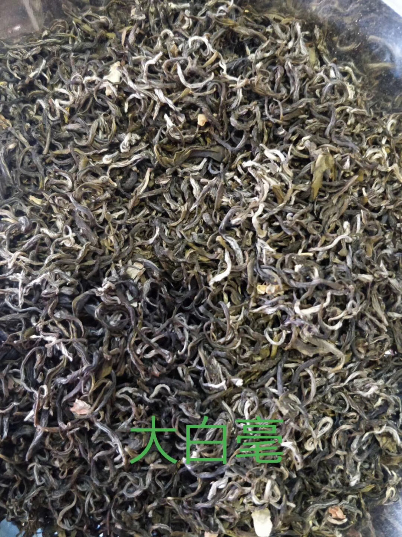 大白毫茉莉花茶广西横州市浓香型茉莉花茶产地